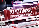 Браконьерство, ДТП на угнанном авто и мошенничество в Волгограде